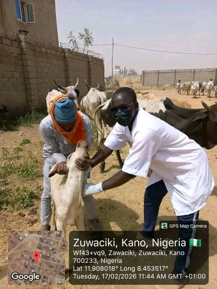 *Kano Sustains CBPP Vaccination Drive in Kumbotso* IMG 20260218 WA0046