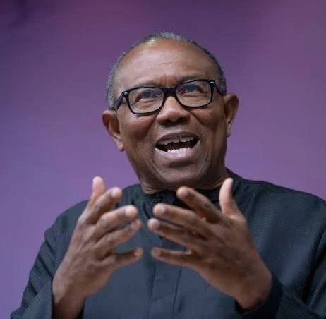 Peter Obi,IPOB And The Burden Of National Trust images (4)